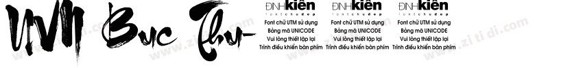 UVN Buc Thu字体转换
